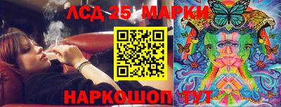 гидра Славгород