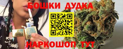 гидра Славгород