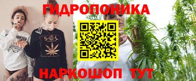 стафф Сланцы
