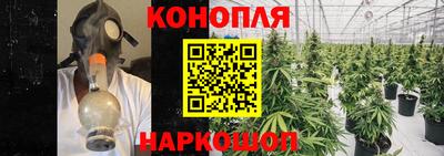 стафф Сланцы