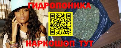 стафф Сланцы