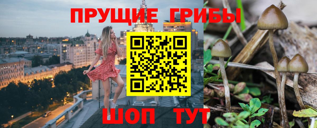 Псилоцибиновые грибы мицелий  Вход с VPN  магазин продажи наркотиков  Галлюциногенные грибы GOLDEN TEACHER  Обь 